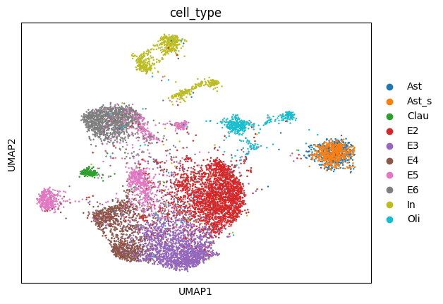 _images/matched_mouse_cortex_61_0.png